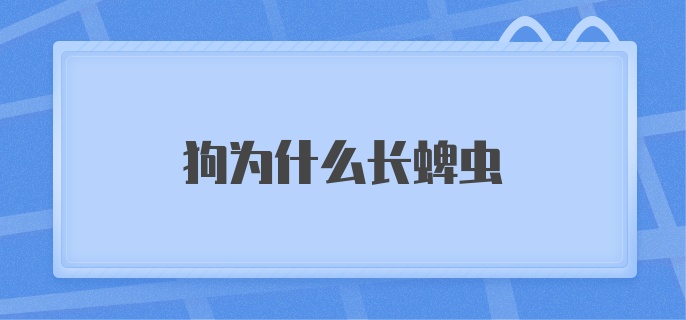 狗为什么长蜱虫