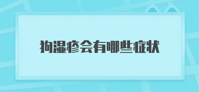 狗湿疹会有哪些症状