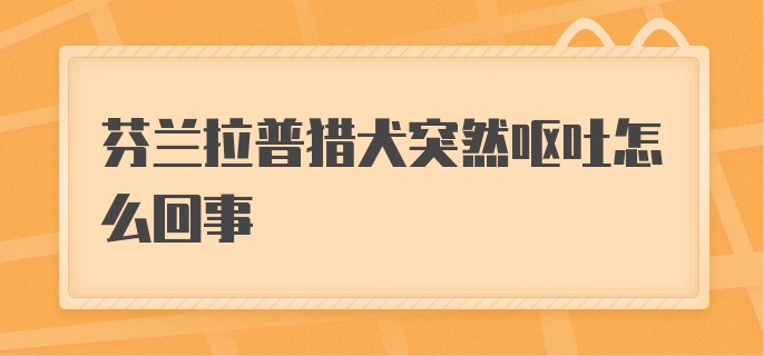 芬兰拉普猎犬突然呕吐怎么回事