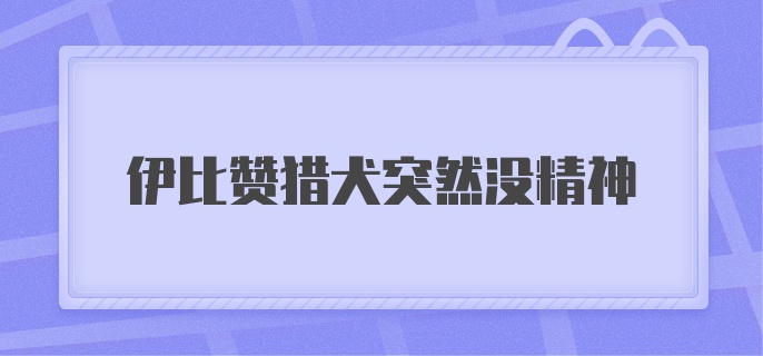 伊比赞猎犬突然没精神