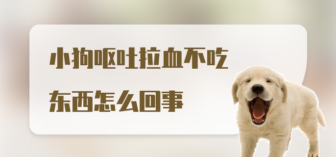 小狗呕吐拉血不吃东西怎么回事