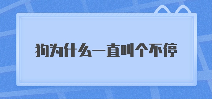 狗为什么一直叫个不停