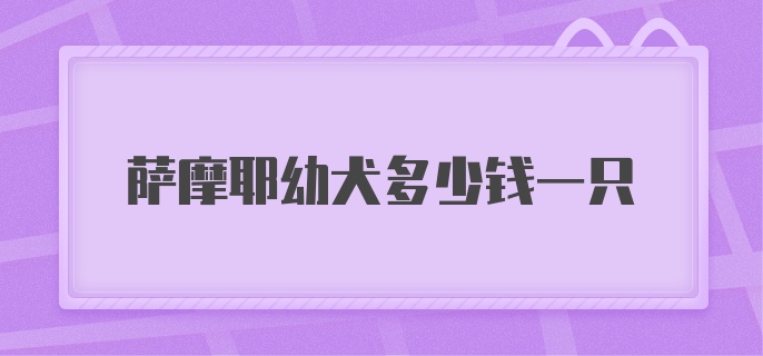 萨摩耶幼犬多少钱一只