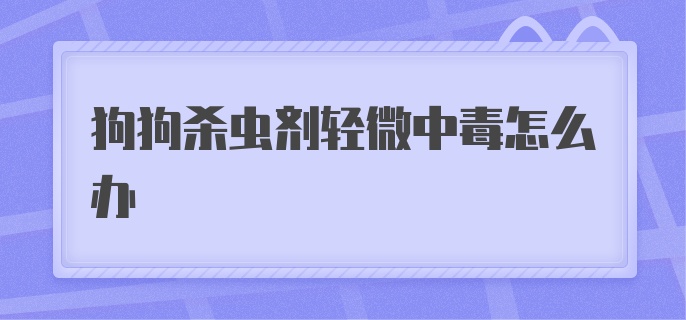 狗狗用杀虫剂中毒怎么办？