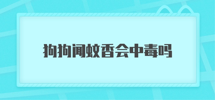 狗狗闻蚊香会中毒吗