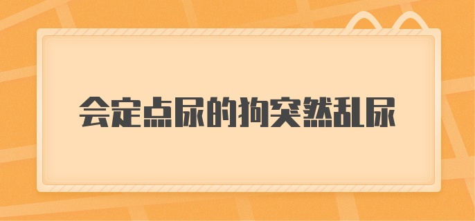 会定点尿的狗突然乱尿