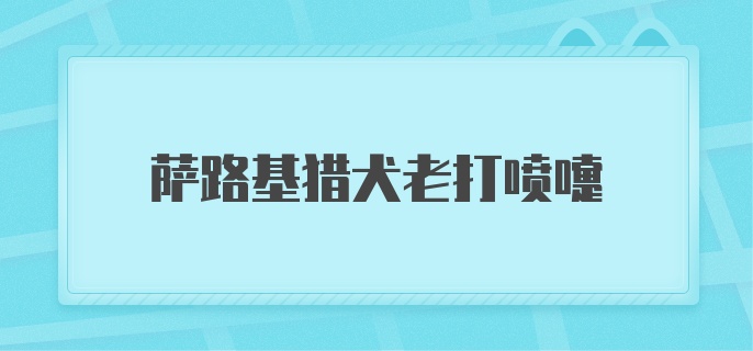 萨路基猎犬老打喷嚏