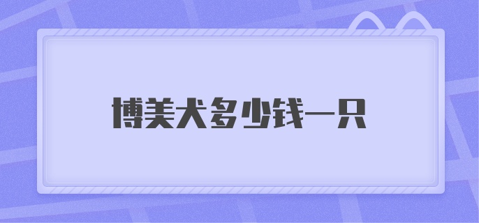 博美犬多少钱一只