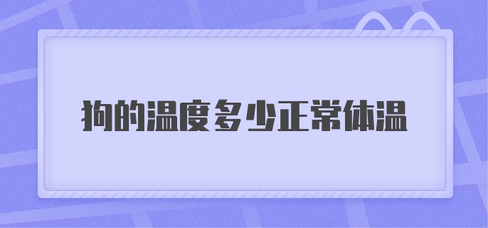 狗的温度多少正常体温