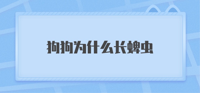 狗狗为什么长蜱虫