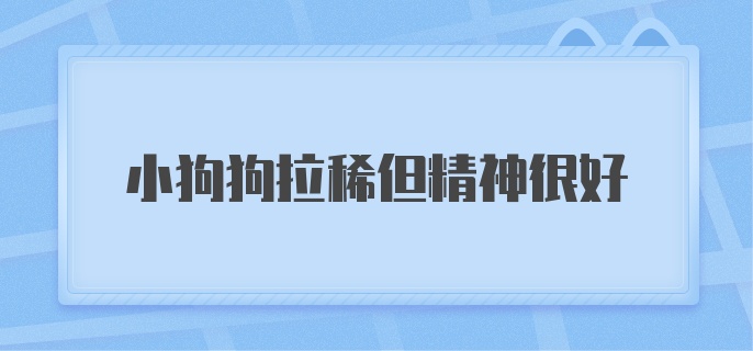 小狗狗拉稀但精神很好