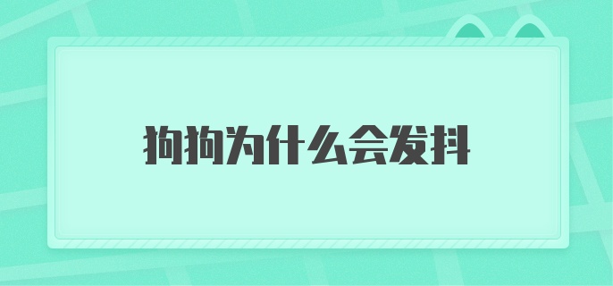 狗狗为什么会发抖