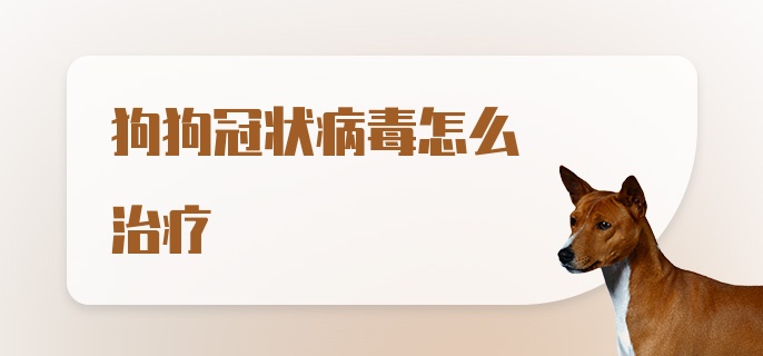 狗狗冠状病毒怎么治疗