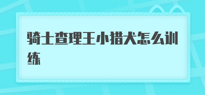 骑士查理王小猎犬怎么训练