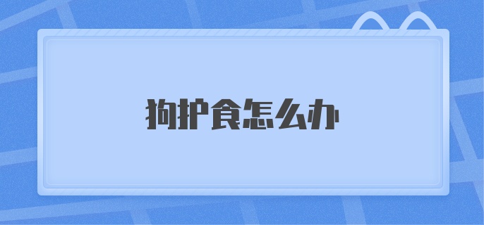 狗护食怎么办