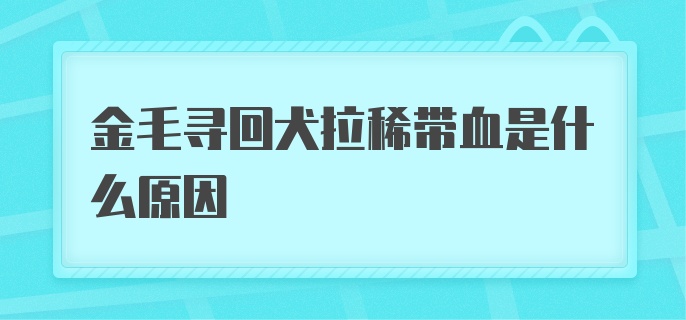 金毛寻回犬拉稀带血是什么原因