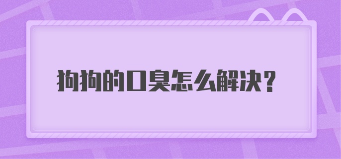 狗狗的口臭怎么解决?