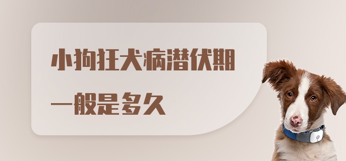 小狗狂犬病潜伏期一般是多久