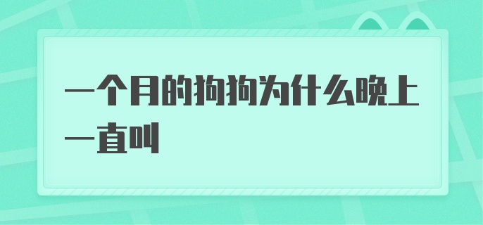 一个月的狗狗为什么晚上一直叫