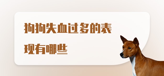 狗狗失血过多的表现有哪些