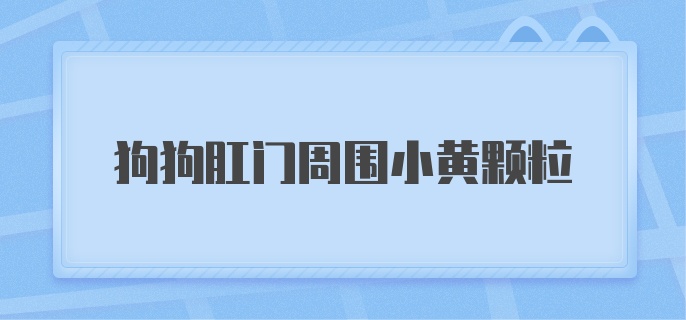 狗狗肛门周围小黄颗粒