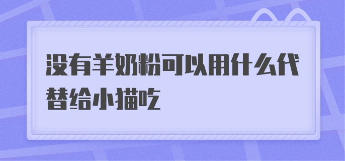 没有羊奶粉可以用什么代替给小猫吃