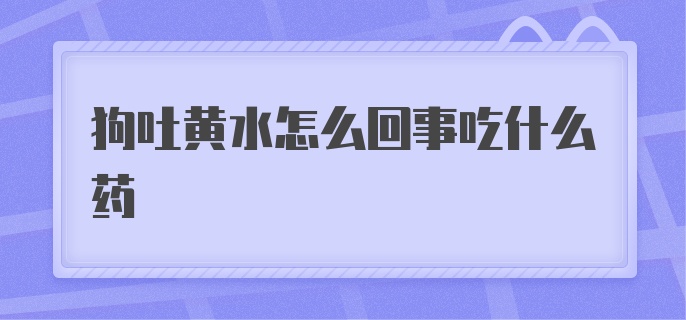 狗吐黄水怎么回事吃什么药