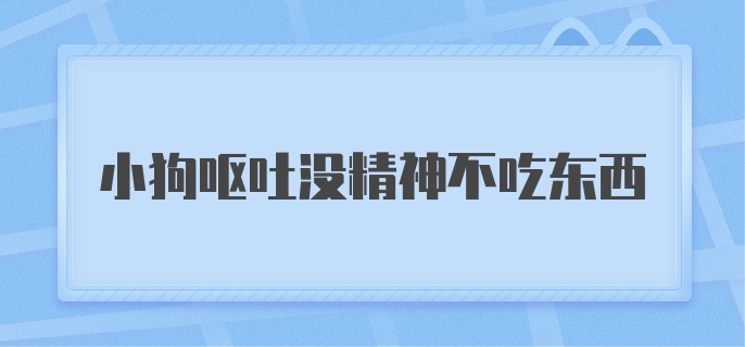 小狗呕吐没精神不吃东西