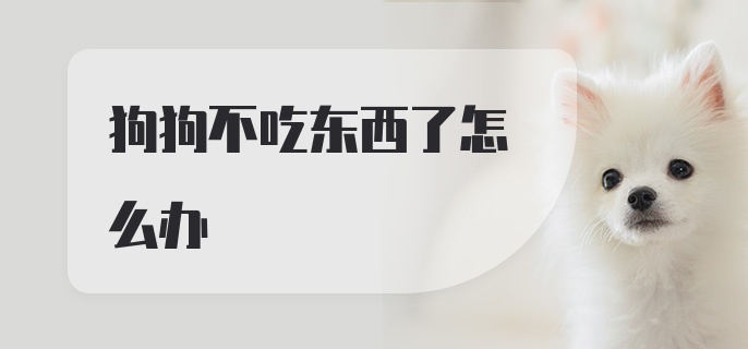 狗狗不吃东西了怎么办