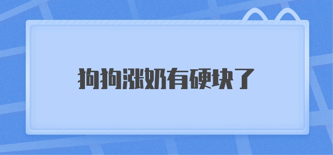 狗狗涨奶有硬块了