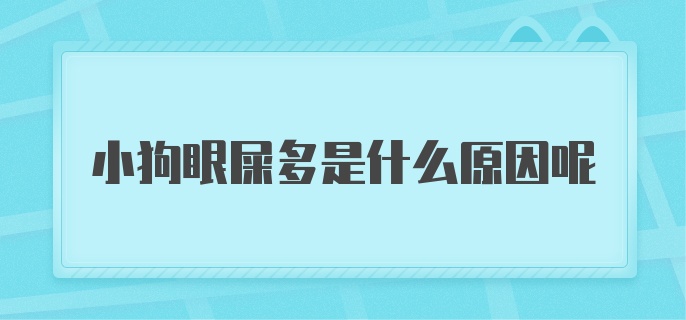 小狗眼屎多是什么原因呢