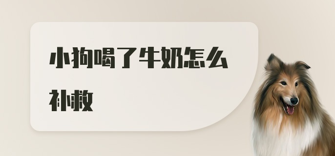 小狗喝了牛奶怎么补救