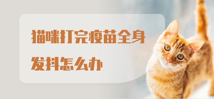 猫咪打完疫苗全身发抖怎么办