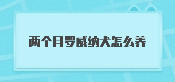 两个月罗威纳犬怎么养