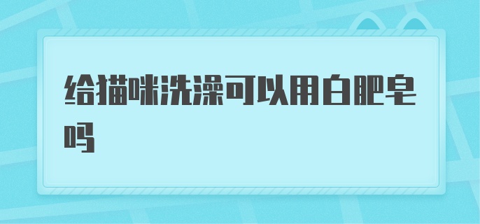 给猫咪洗澡可以用白肥皂吗