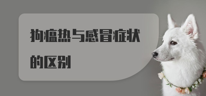 狗瘟热与感冒症状的区别