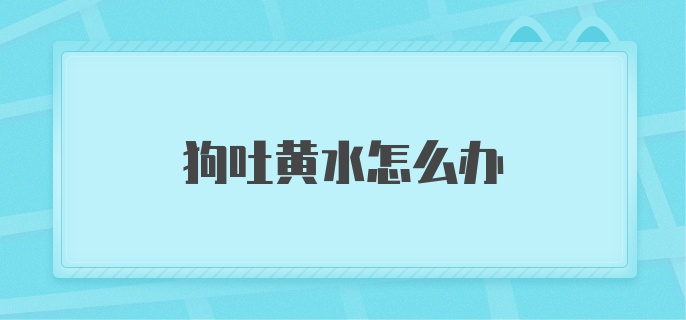 狗吐黄水怎么办