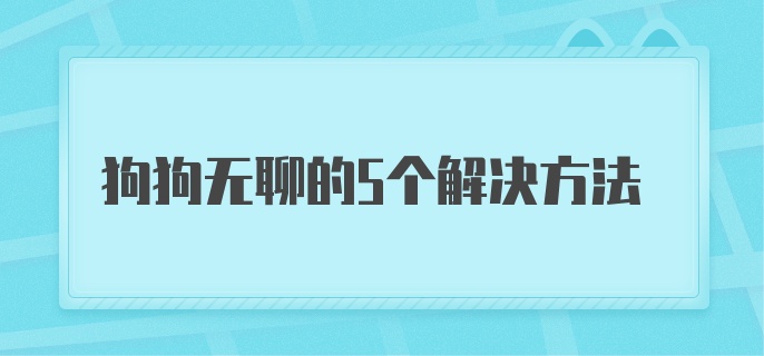 狗狗无聊的5个解决方法