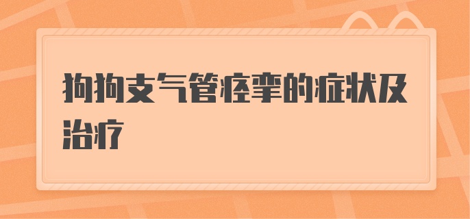 狗狗支气管痉挛的症状及治疗