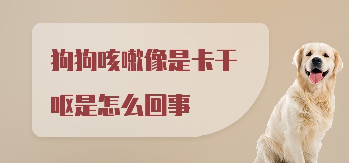 狗狗咳嗽像是卡干呕是怎么回事