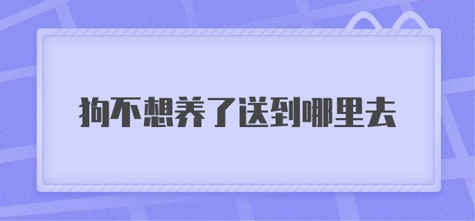 狗不想养了送到哪里去