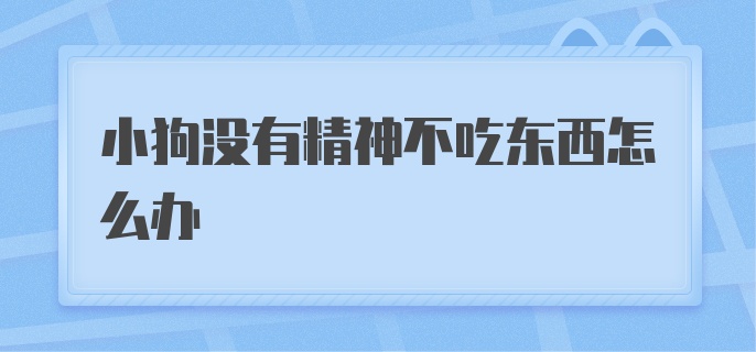 小狗没有精神不吃东西怎么办