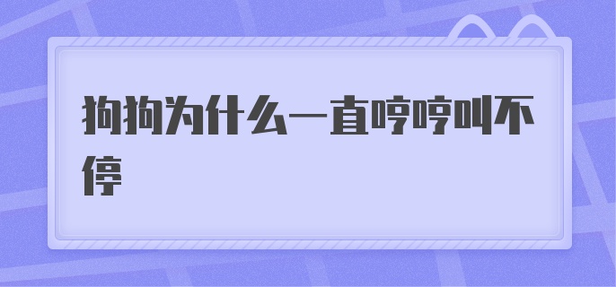 狗狗为什么一直哼哼叫不停