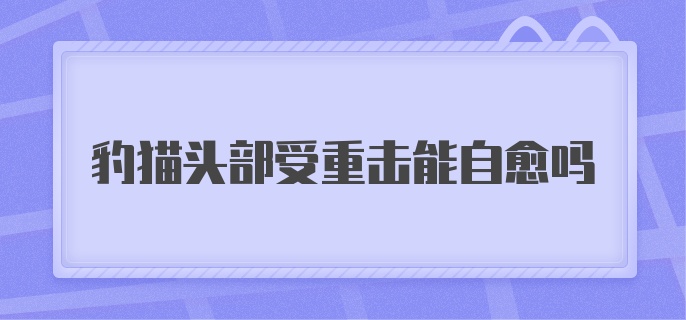 豹猫头部受重击能自愈吗