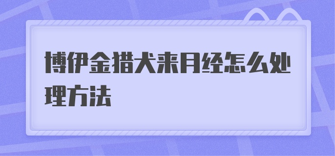 博伊金猎犬来月经怎么处理方法