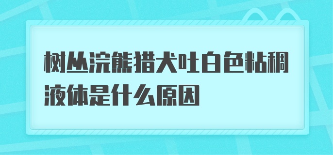 树丛浣熊猎犬吐白色粘稠液体是什么原因