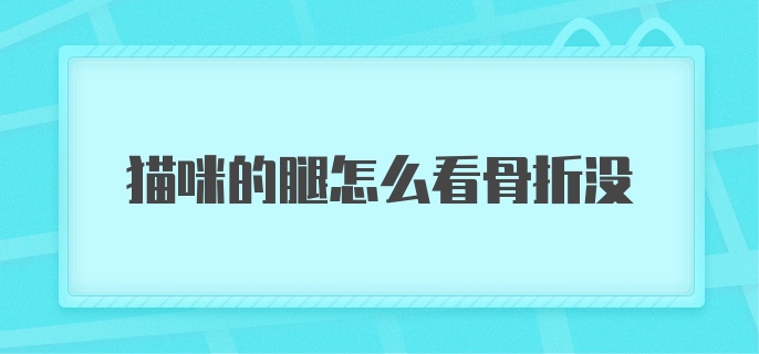 猫咪的腿怎么看骨折没