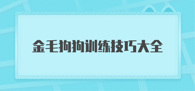 金毛狗狗训练技巧大全