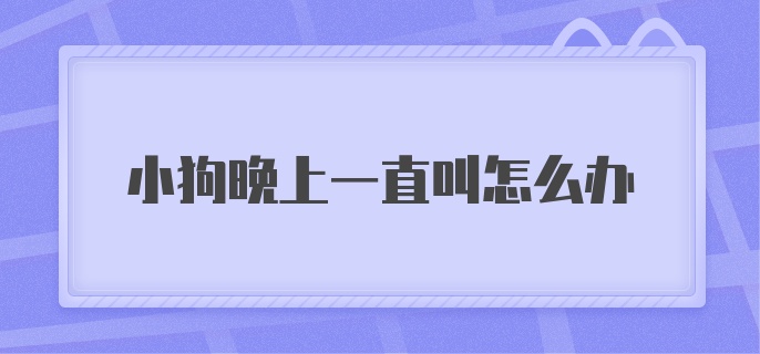 小狗晚上一直叫怎么办？