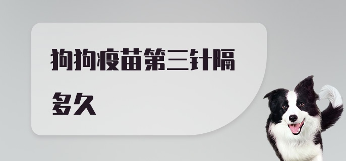 狗狗疫苗第三针隔多久